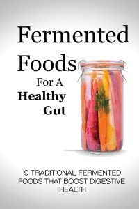 B00k_cover_Fermented_foods_final