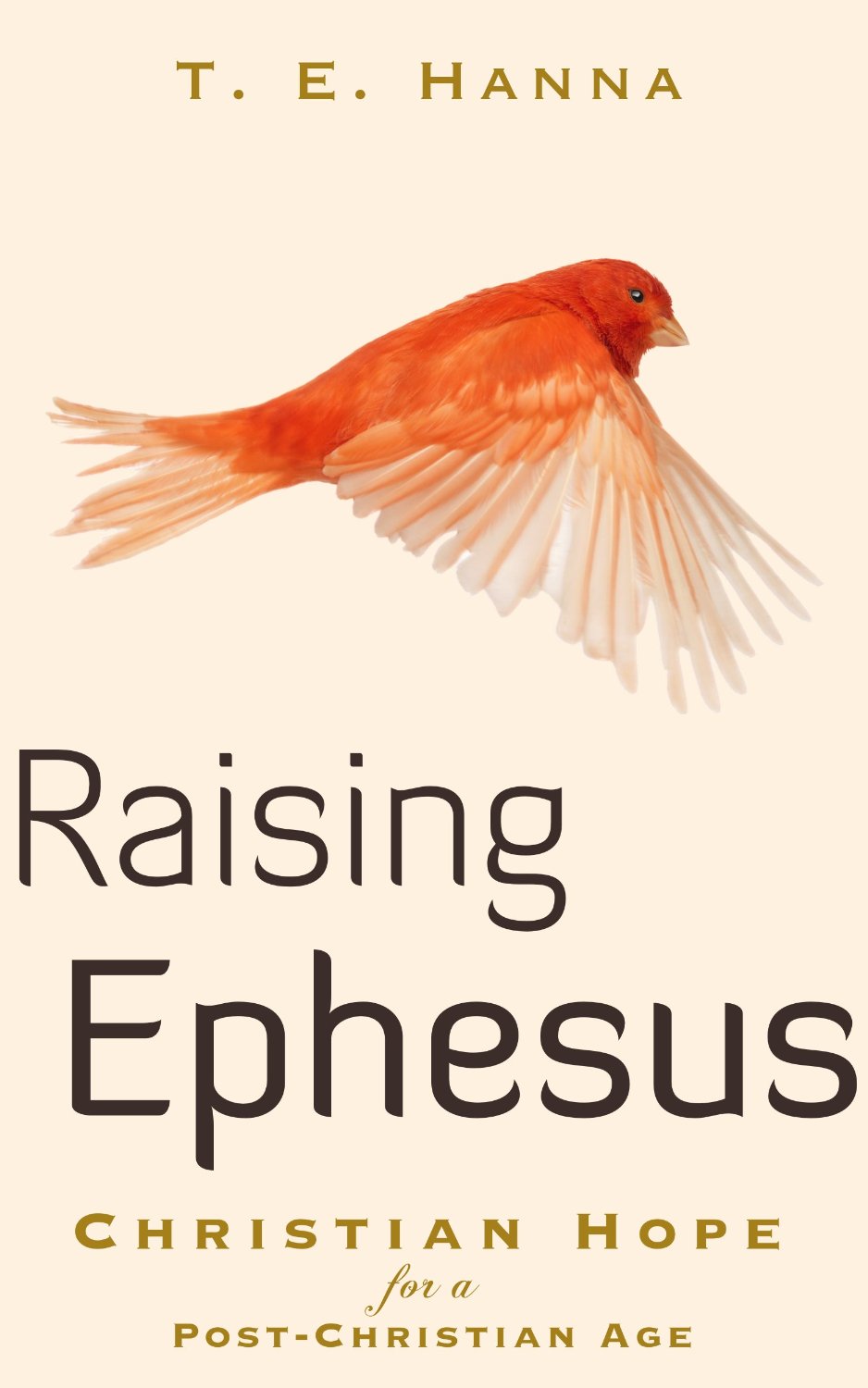 Raising Ephesus: Christian Hope for a Post-Christian Age by T. E. Hanna