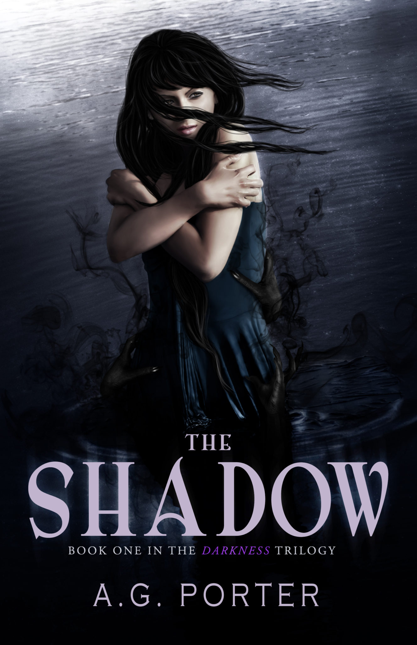 The Shadow by Amanda Porter