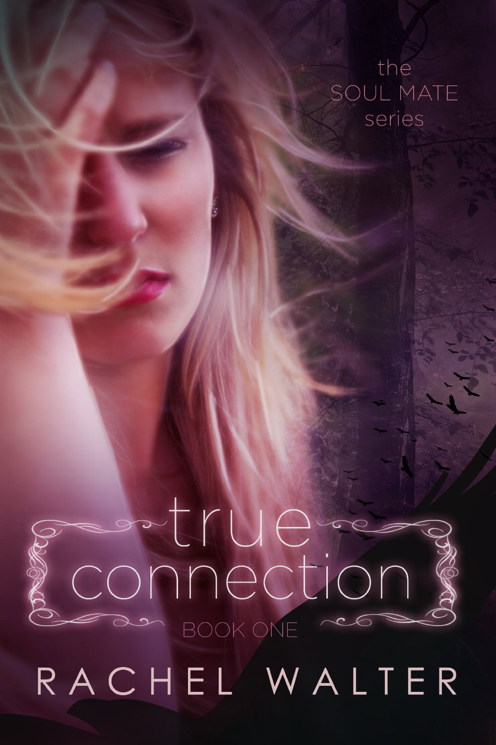 True Connection (The Soul Mate Series) by Rachel Walter
