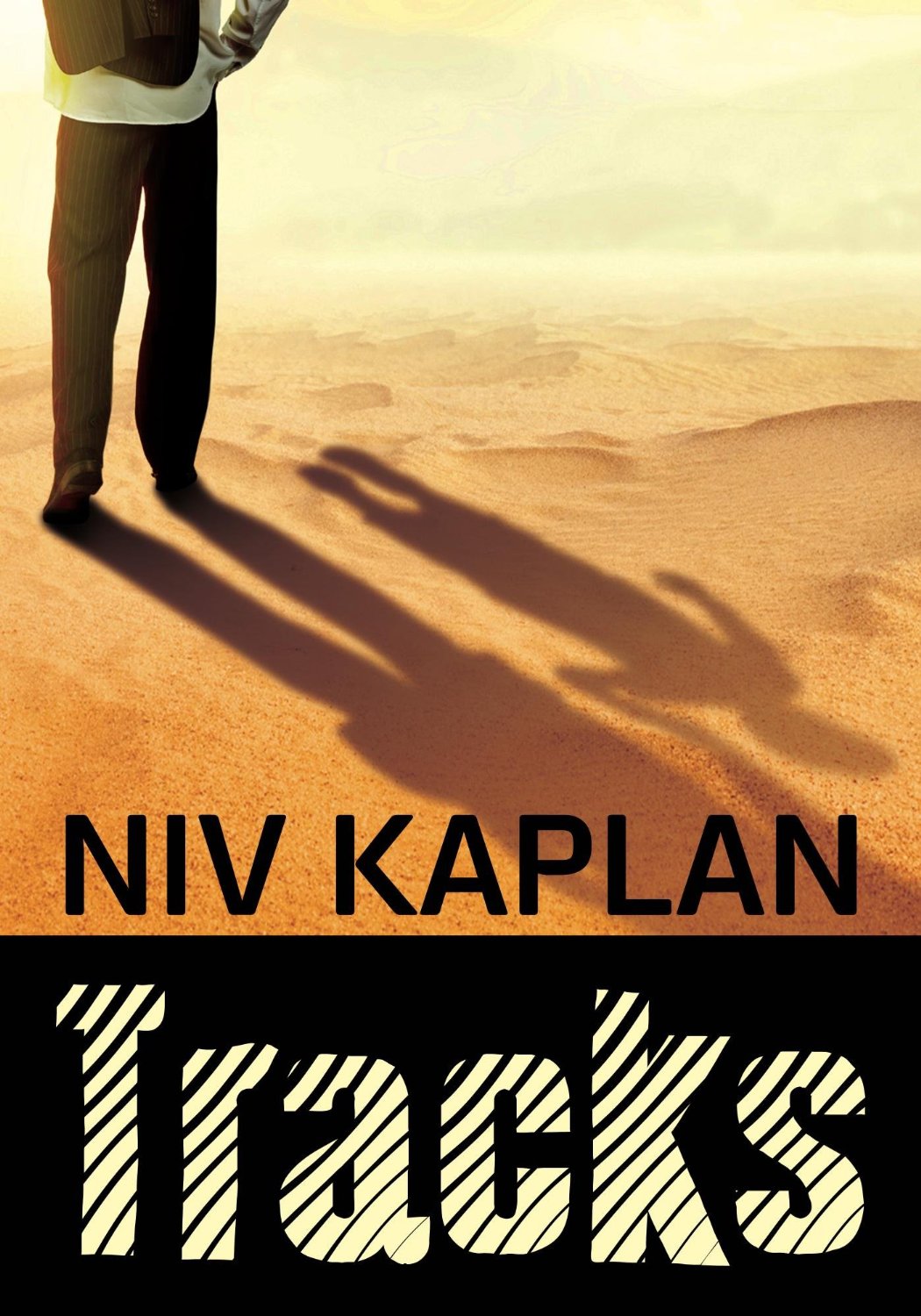 Tracks by Niv Kaplan