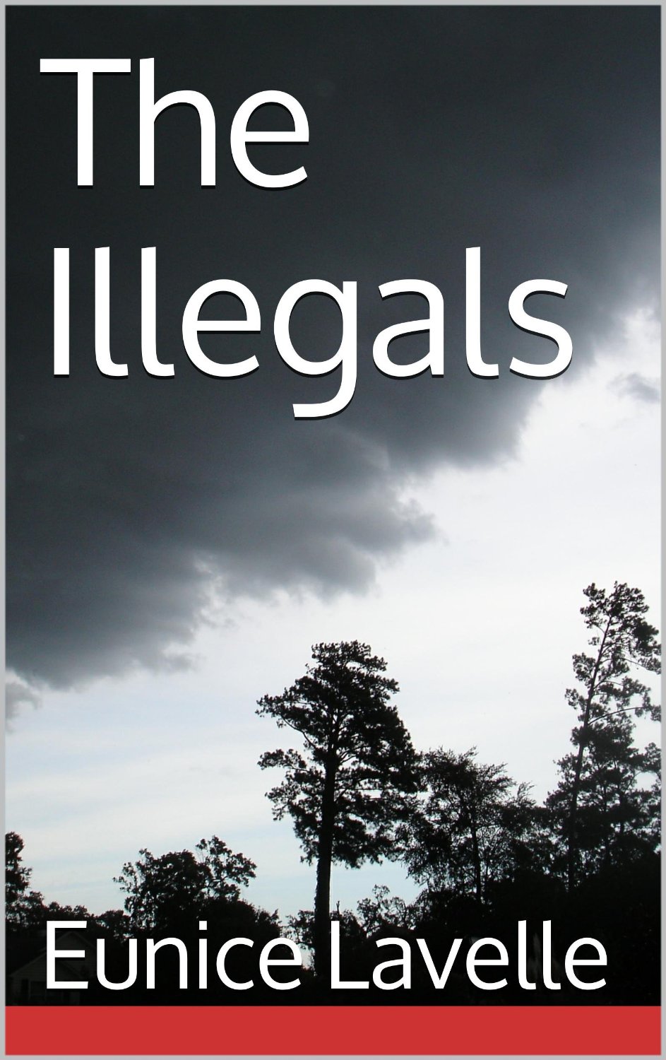 The Illegals by Eunice Lavelle