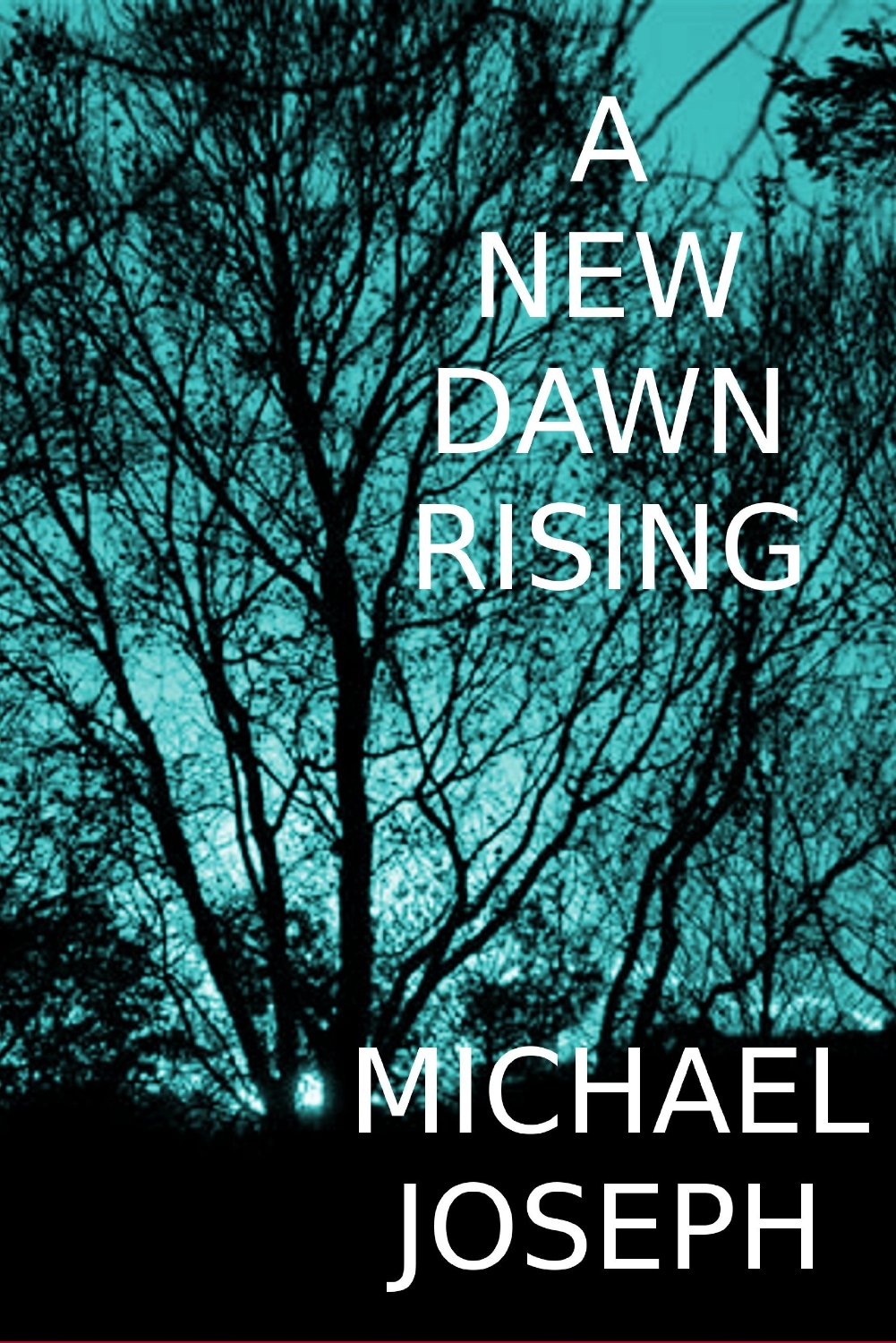 A New Dawn Rising by Michael Joseph