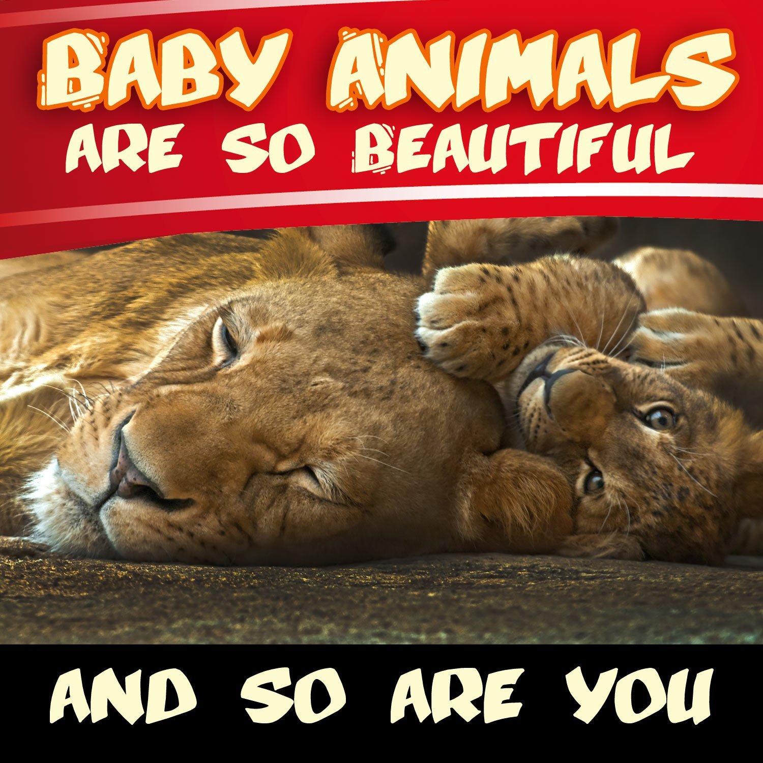 Baby Animals Are So Beautiful – And So Are You by David Martin