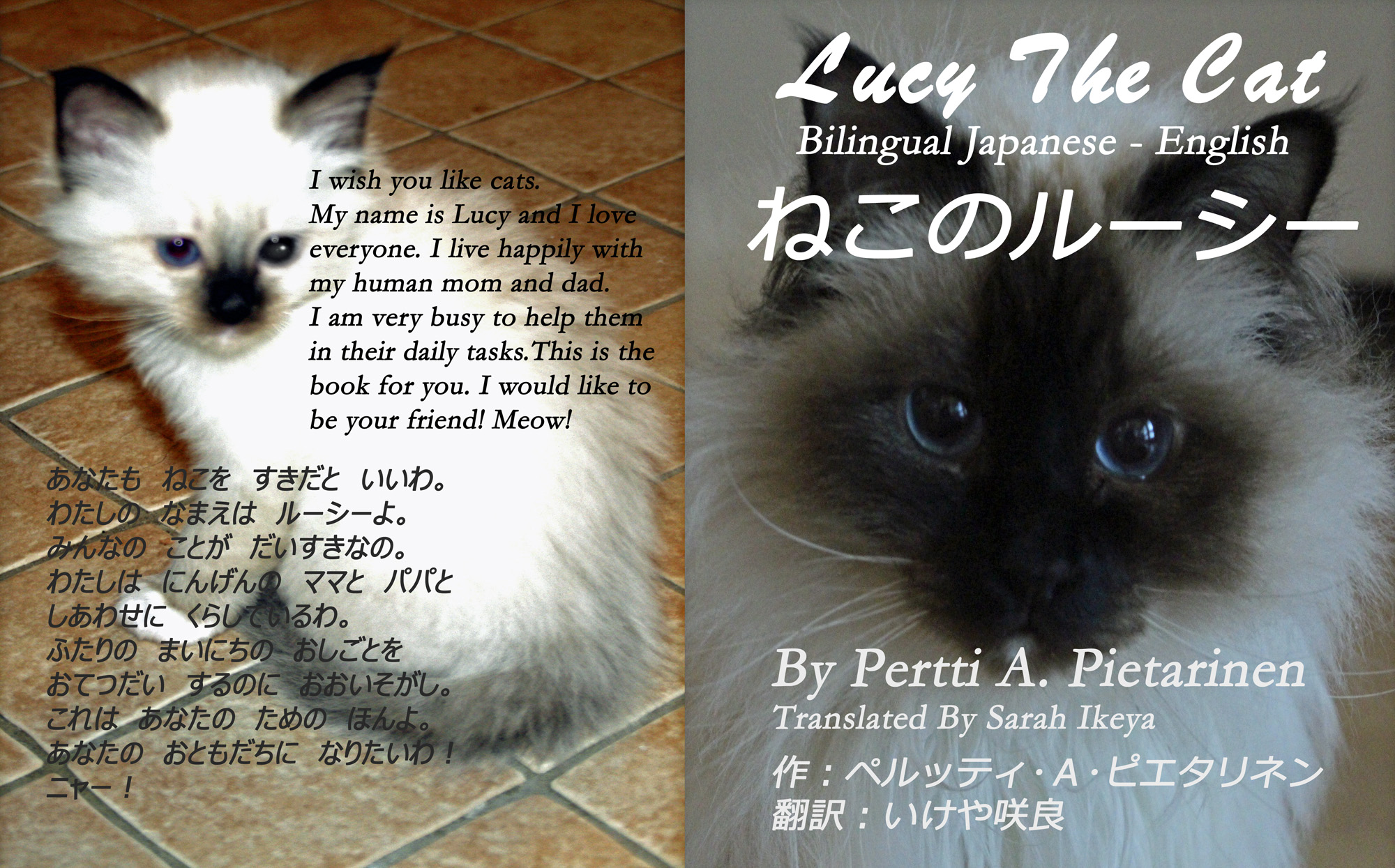Lucy The Cat Bilingual Japanese – English by Pertti A Pietarinen
