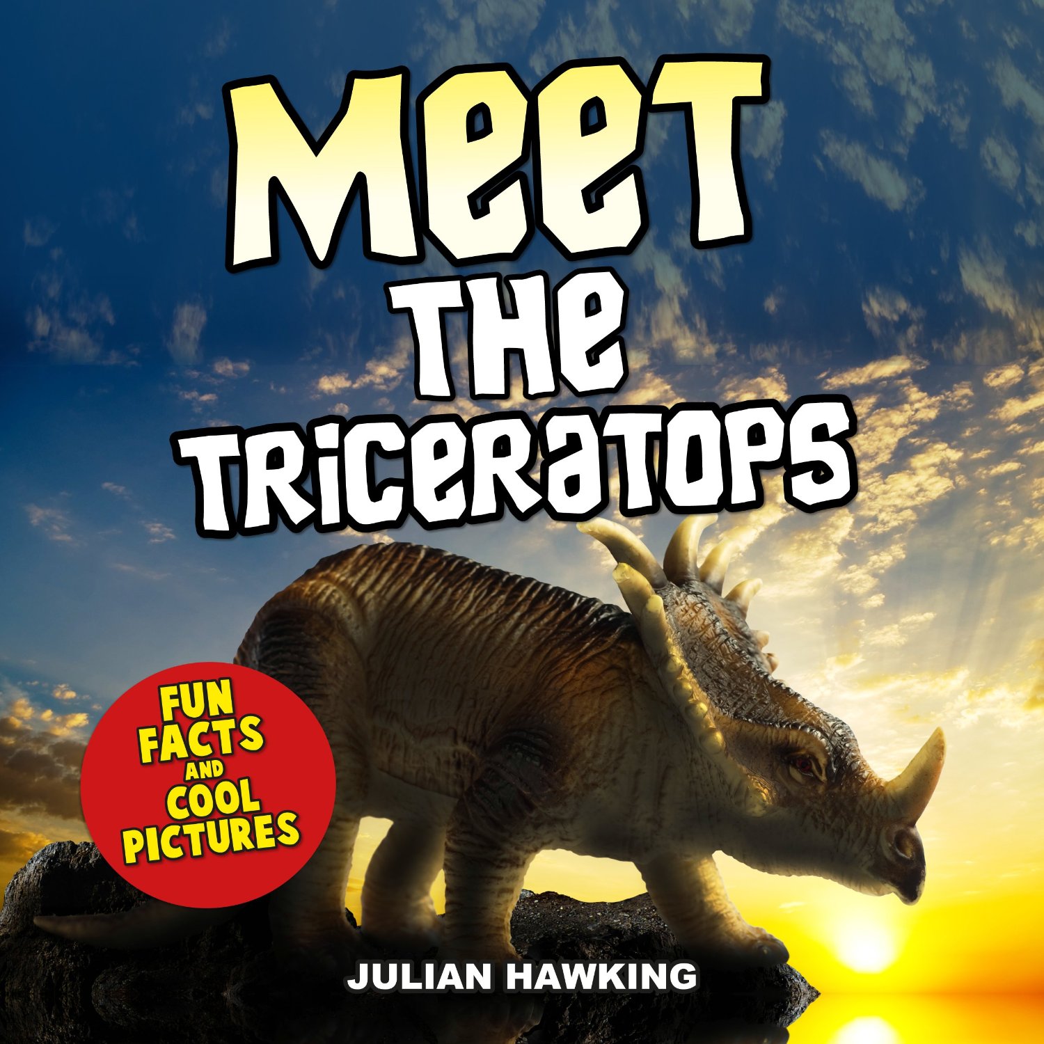 Meet The Triceratops by Graham MacDonald