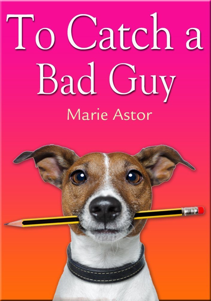 To Catch a Bad Guy (Book One of the Janet Maple Series) by Marie Astor