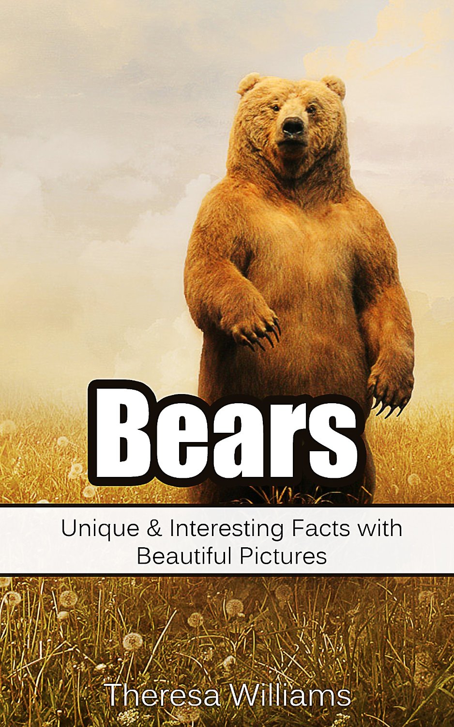 Bears: Unique & Interesting Facts with Beautiful Pictures By Theresa Williams