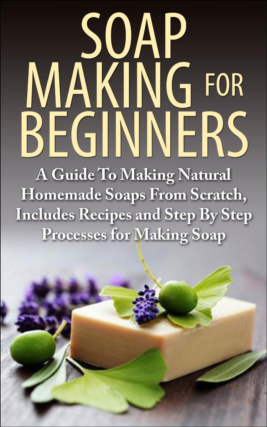 Soap Making for Beginners by Lindsey P