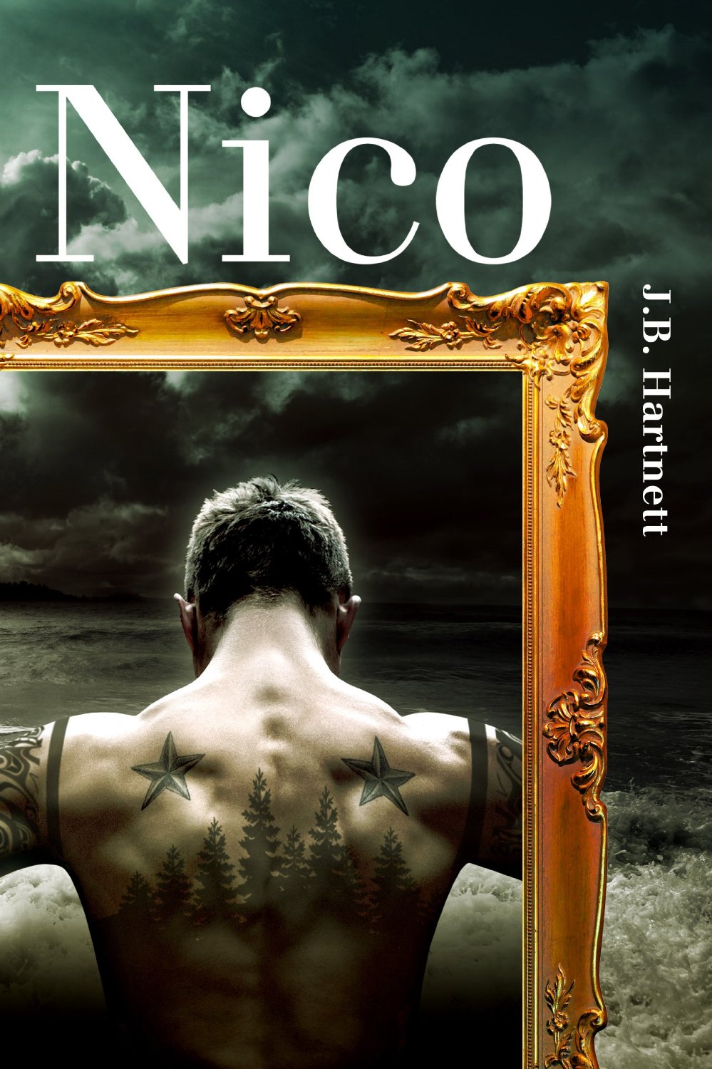 Nico by J.B. Hartnett