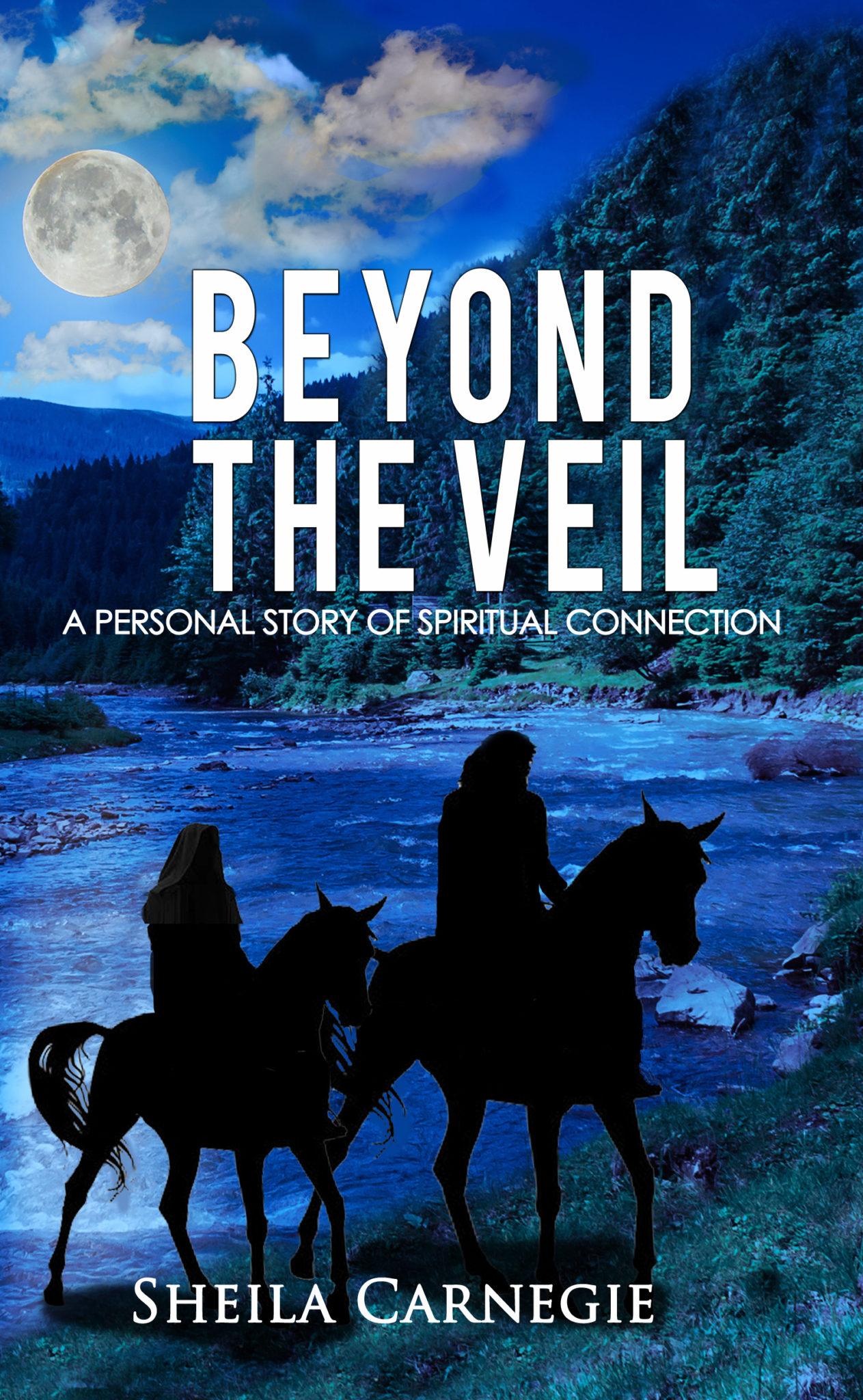 Beyond the Veil: A Personal Story of Spiritual Connection by Sheila Carnegie by Sheila Carnegie