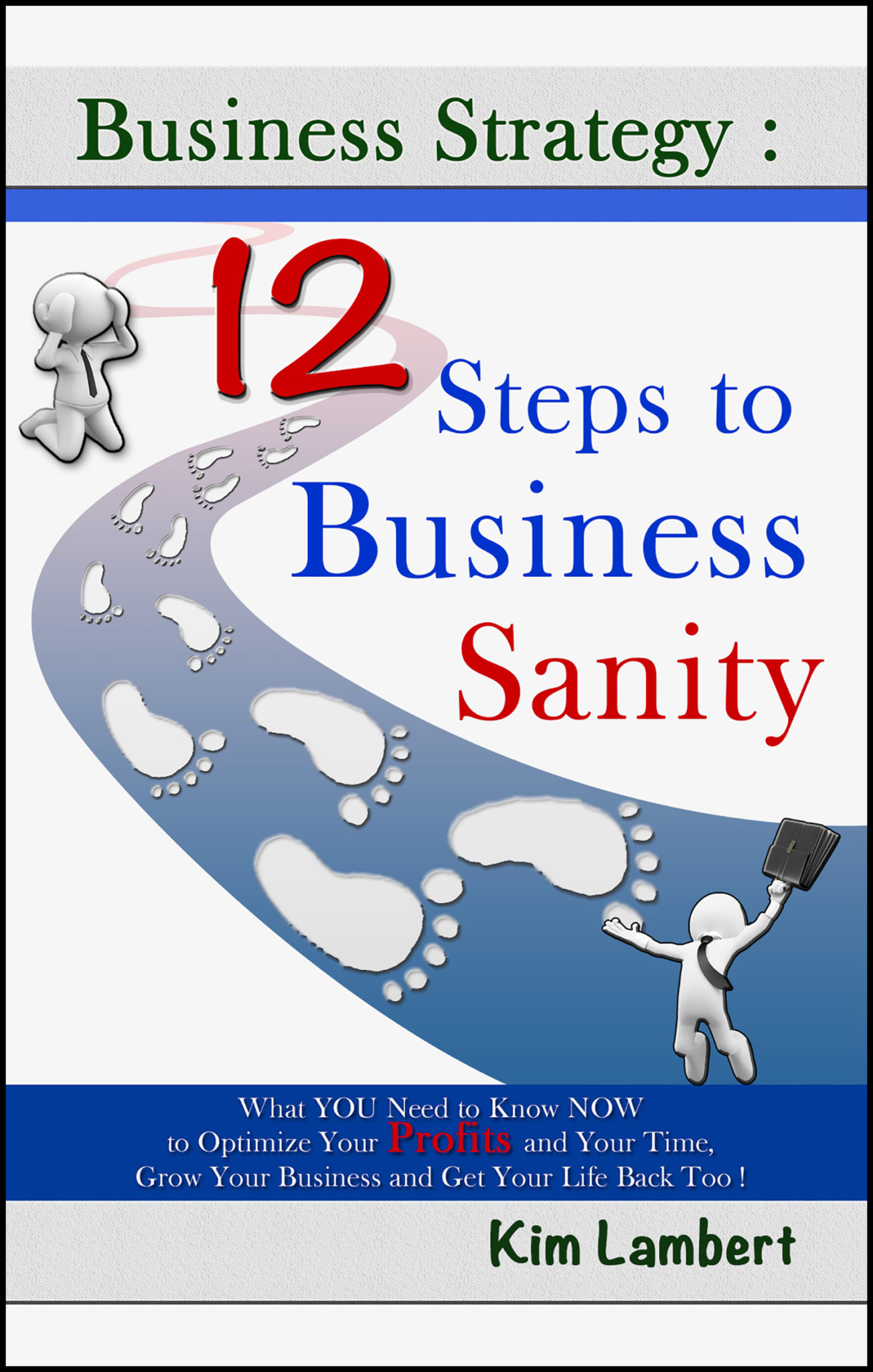 Business Strategy: 12 Steps to Business Sanity – What You Need to Know NOW to optimize your Profits, and Your Time, Grow Your Business, and Get Your Life Back Too! by Kim Lambert