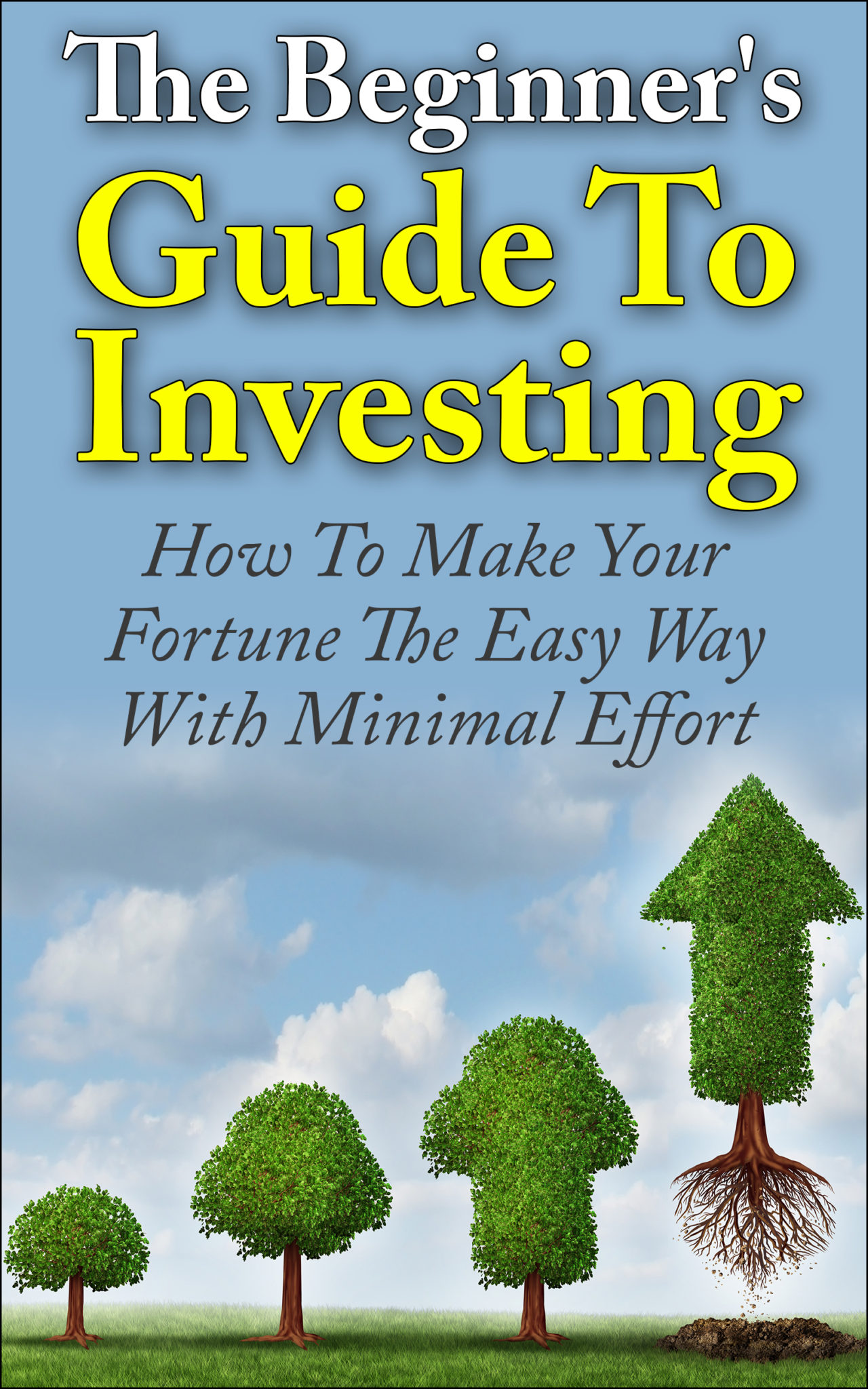 The Beginner’s Guide To Investing – How To Make Your Fortune The Easy Way With Minimal Effort by Daniel Keller