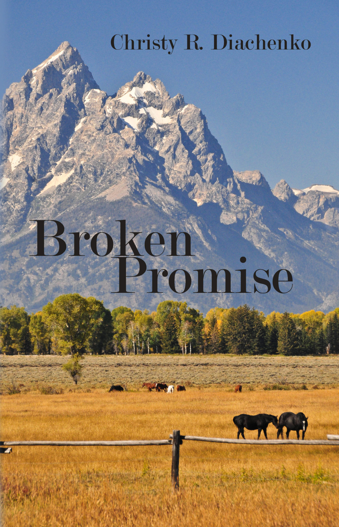 Broken Promise by Christy R. Diachenko