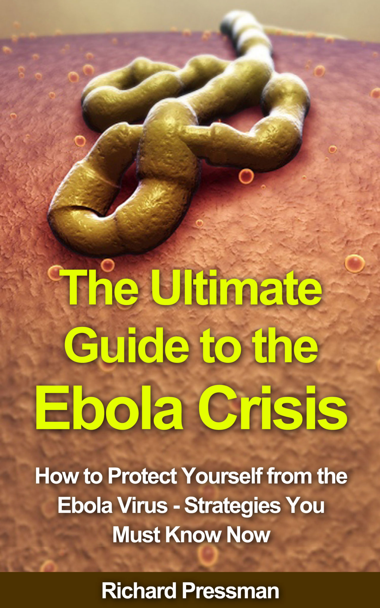 The Ultimate Guide to the Ebola Crisis: How to Protect Yourself from the Ebola Virus – Strategies You Must Know Now by Richard Pressman