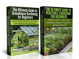 Vegetable-Garden-Box-Set-3