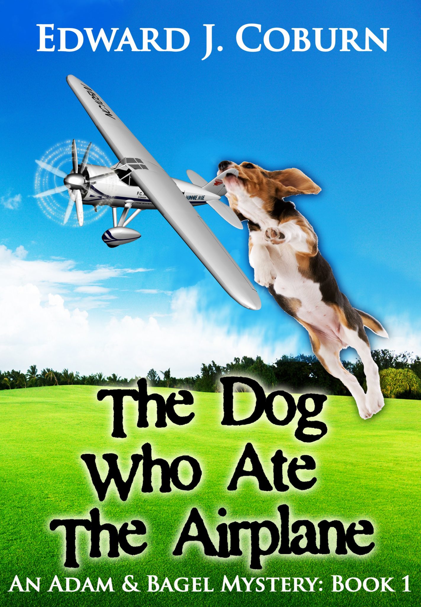 The Dog Who Ate The Airplane by Edward J. Coburn