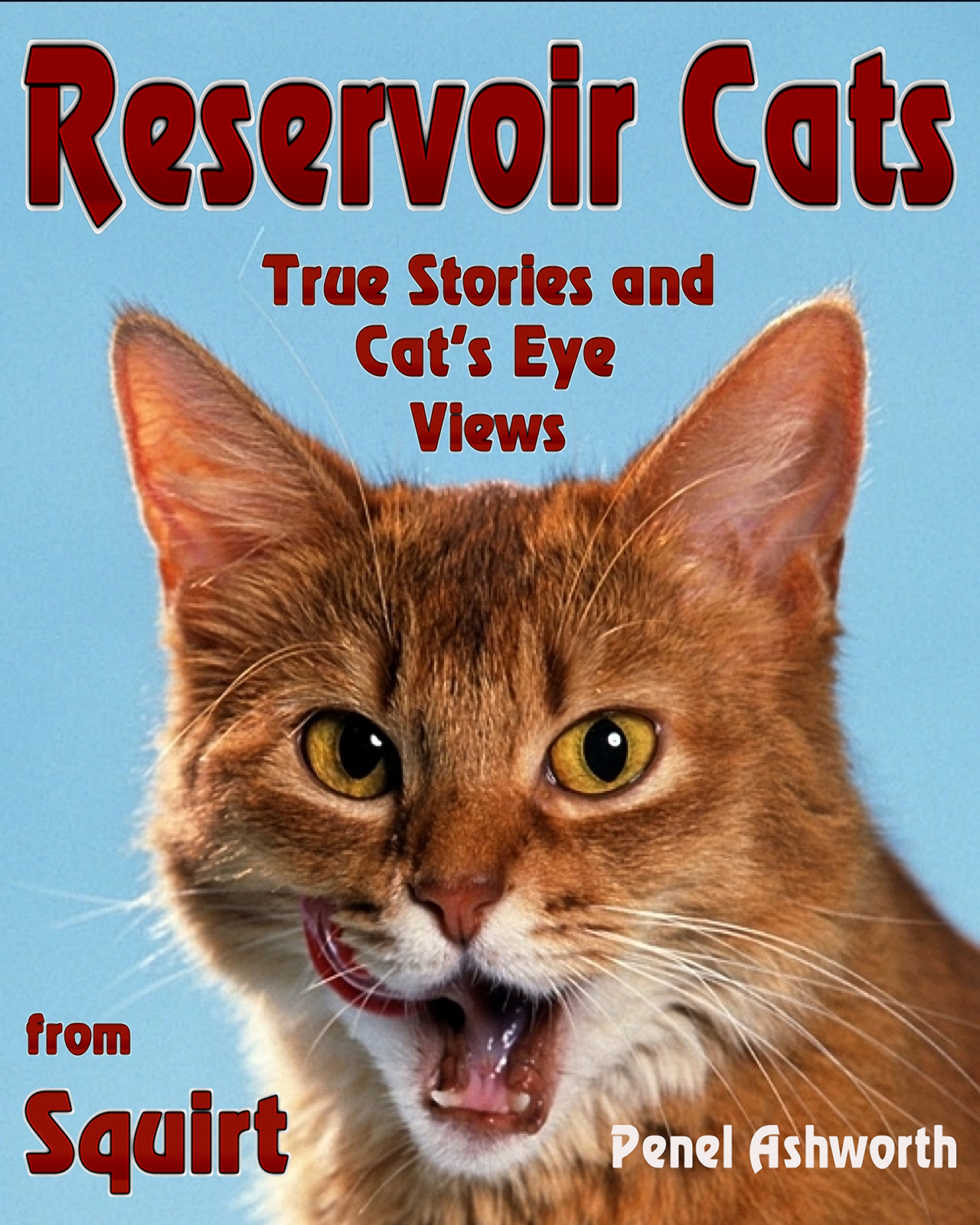 Reservoir Cats: True Stories and Cat’s Eye Views from Squirt by Penel Ashworth