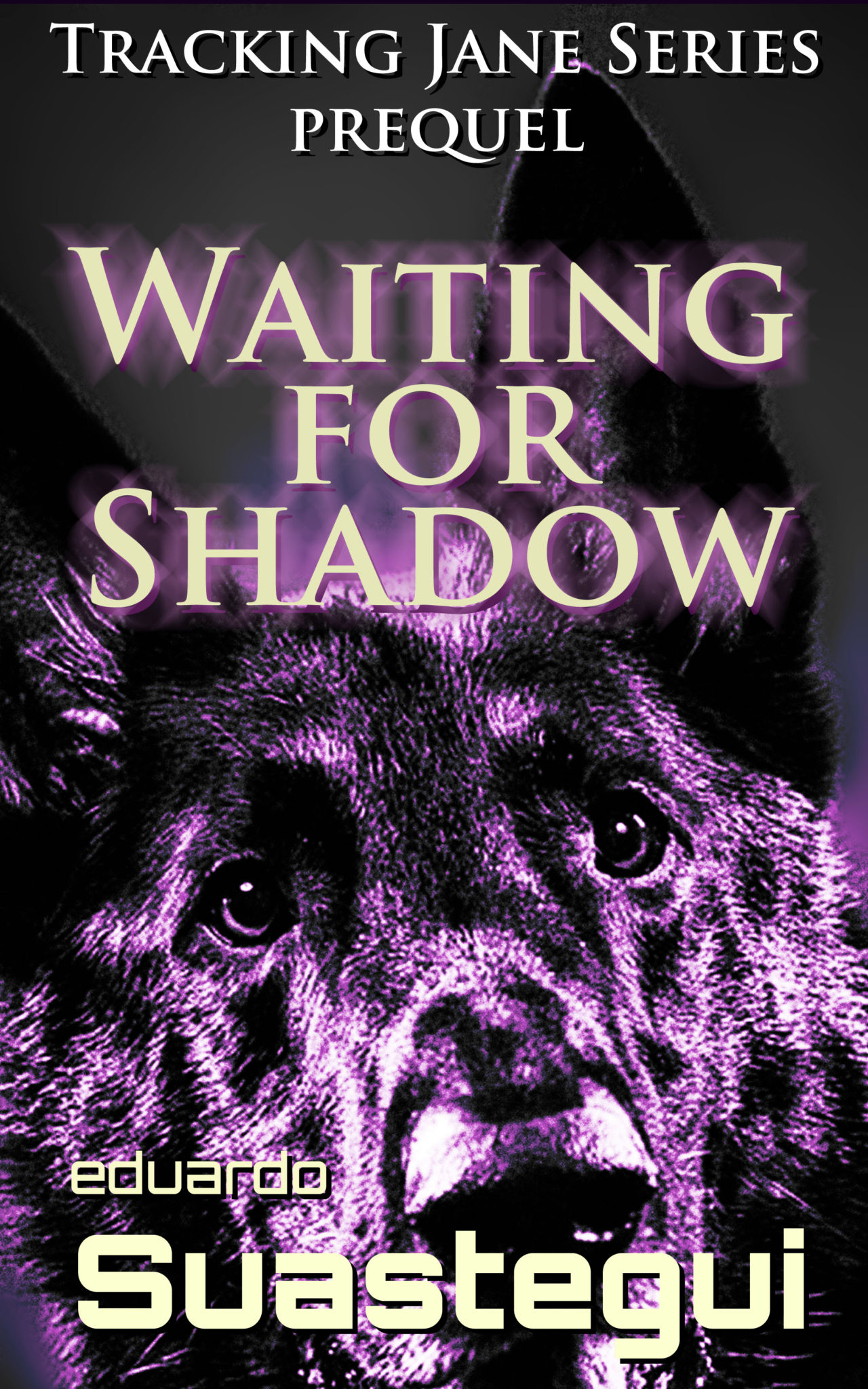 Waiting for Shadow by Eduardo Suastegui
