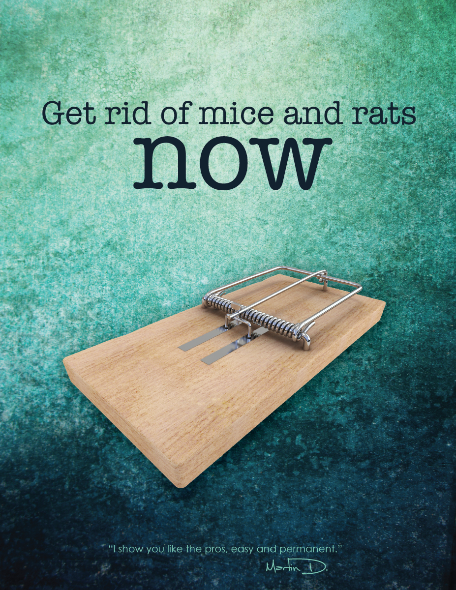 Get Rid of Mice and Rats Now by Martin Duguay