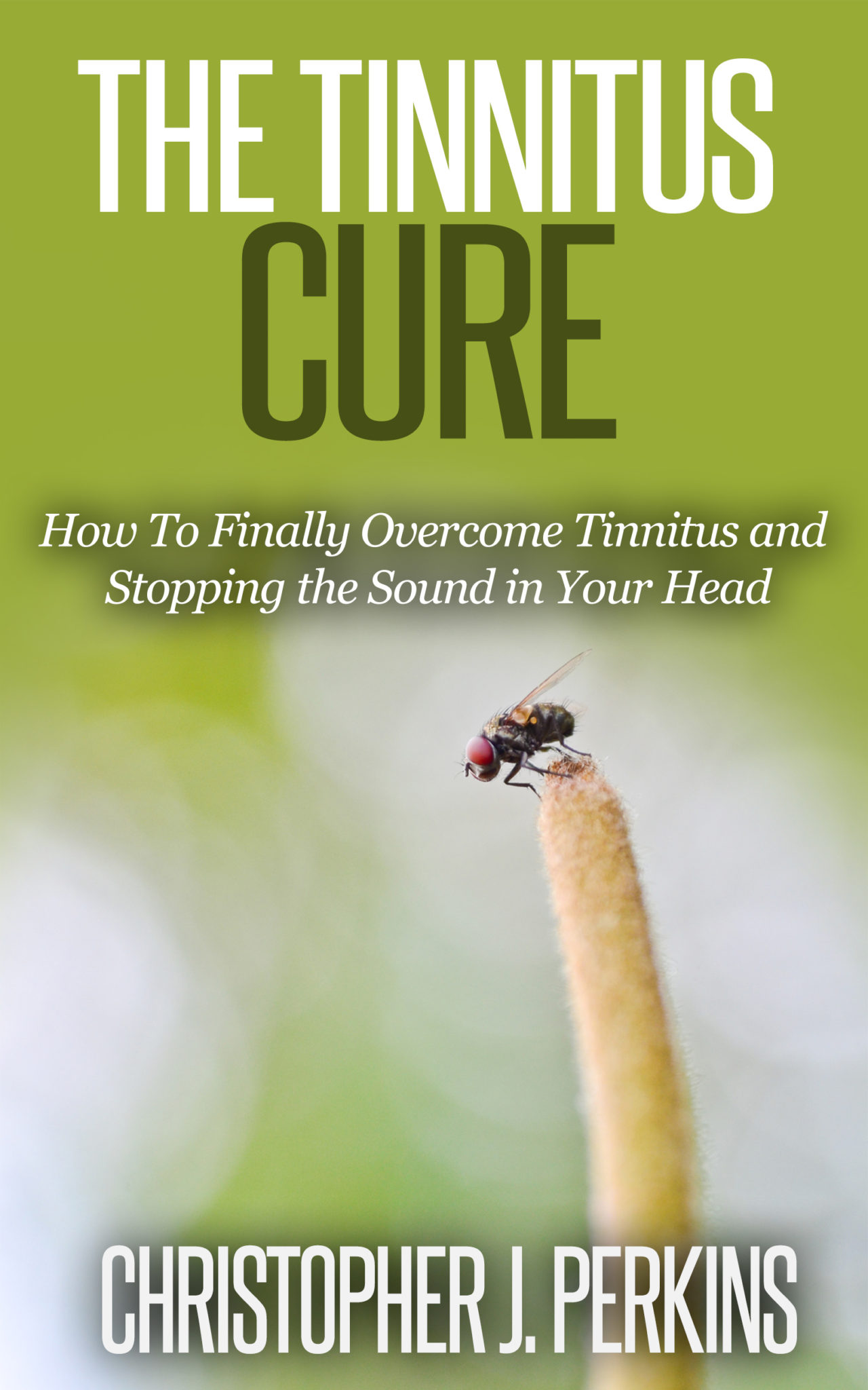 The Tinnitus Cure – How To Finally Overcome Tinnitus and Stopping the Sound in Your Head by Christopher J. Perkins