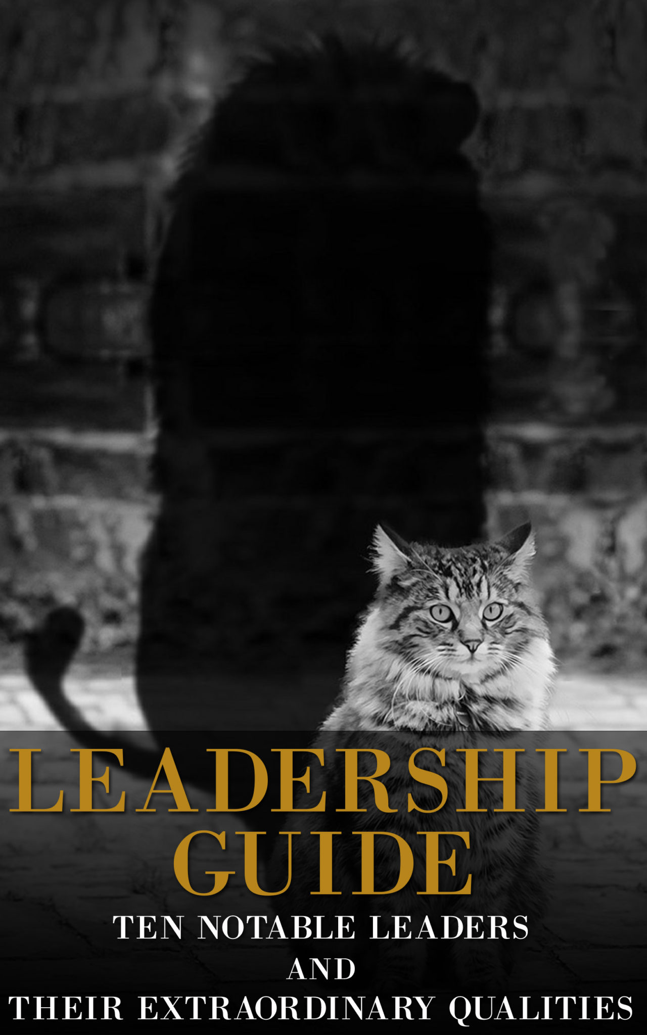 Leadership Guide – Ten Notable Leaders and Their Extraordinary Qualities(Learn from Abraham Lincoln, Martin Luther King and Mahatma Ghandi, Leadership, leaders, lead) by Daniel Webb