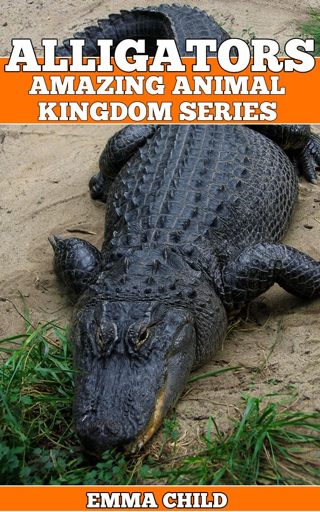 FREE: ALLIGATORS: Fun Facts and Amazing Photos of Animals in Nature by Emma Child