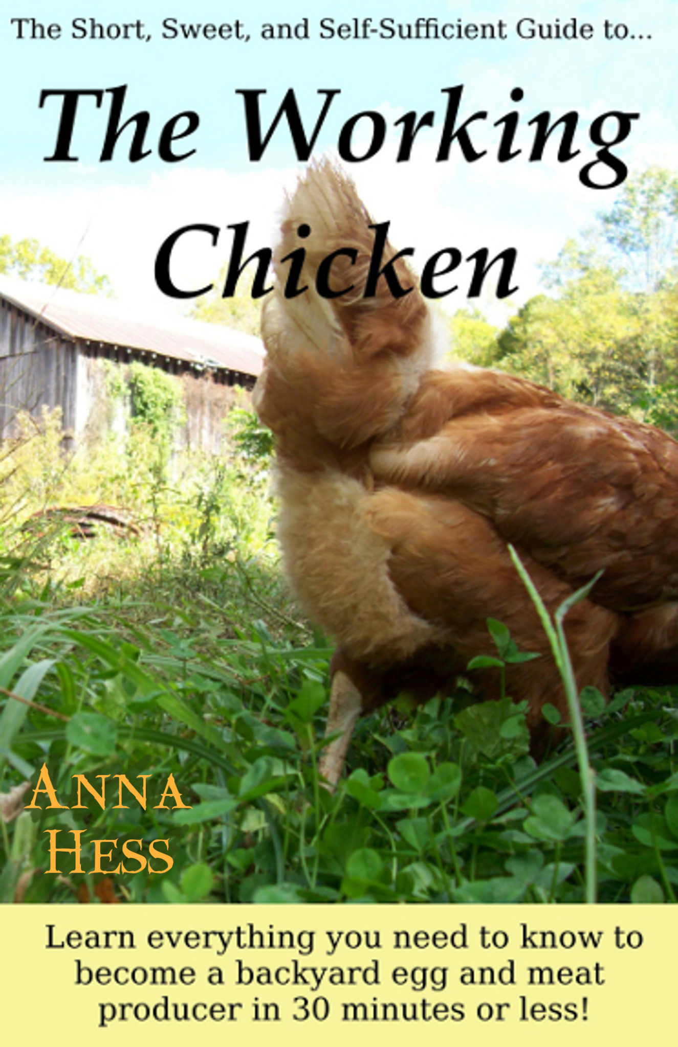 FREE: The Working Chicken by Anna Hess