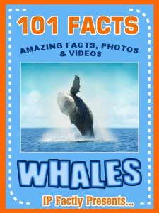 101whales