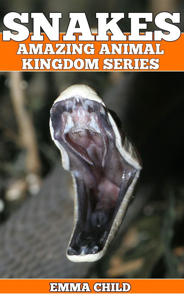 FREE: SNAKES: Fun Facts and Amazing Photos of Animals in Nature by Emma Child