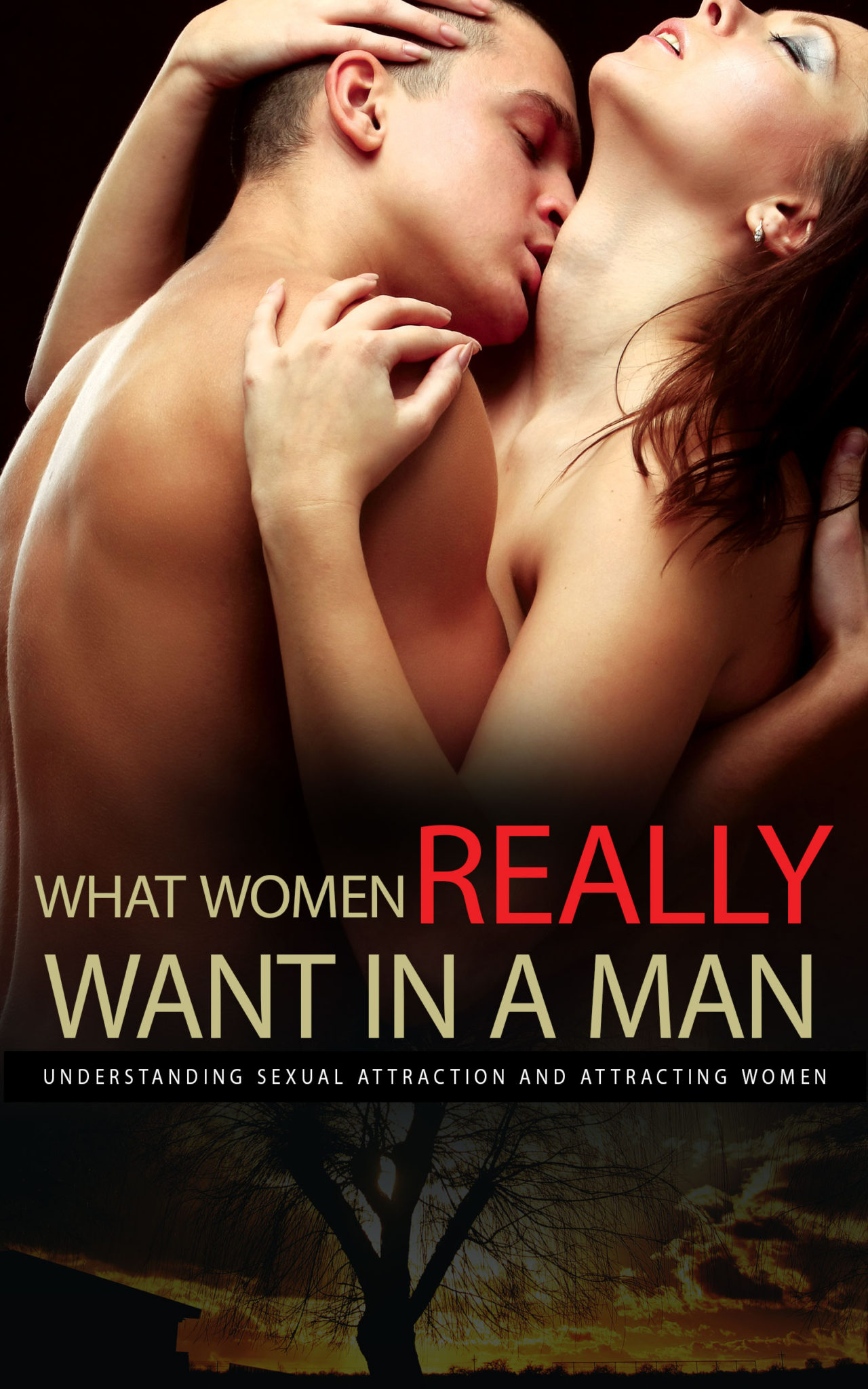 FREE: What Women Really Want In A Man: Understanding Sexual Attraction and Attracting Women by Kris Kaynes
