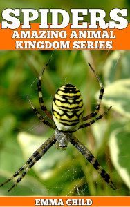 SPIDERS-Fun-Facts-and-Amazing-Photos-of-Animals-in-Nature-Amazing-Animal-Kingdom-Series-Childrens-Books