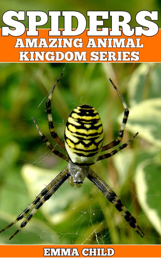 FREE: SPIDERS: Fun Facts and Amazing Photos of Animals in Nature by Emma Child