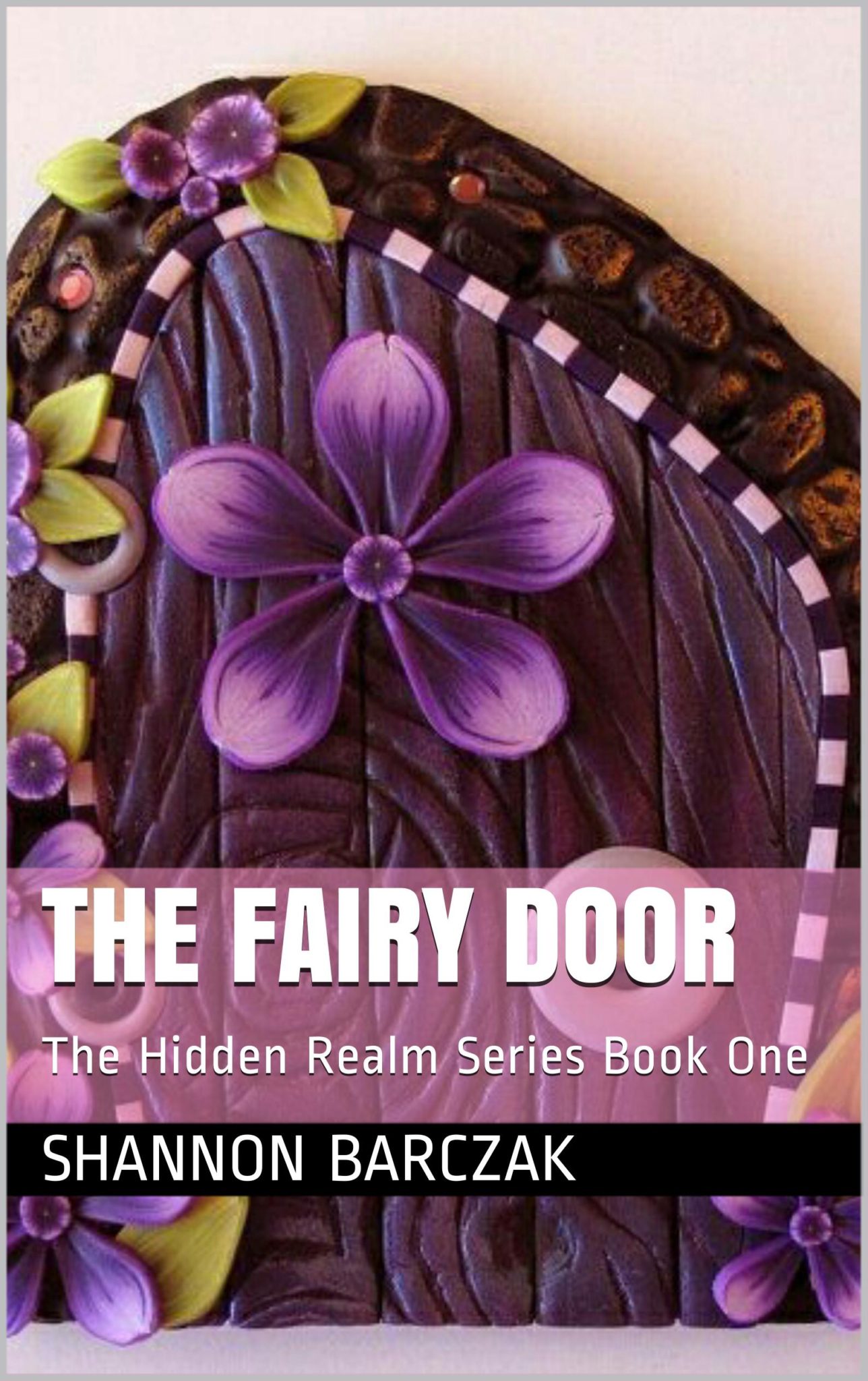 FREE: The Fairy Door by Shannon Barczak