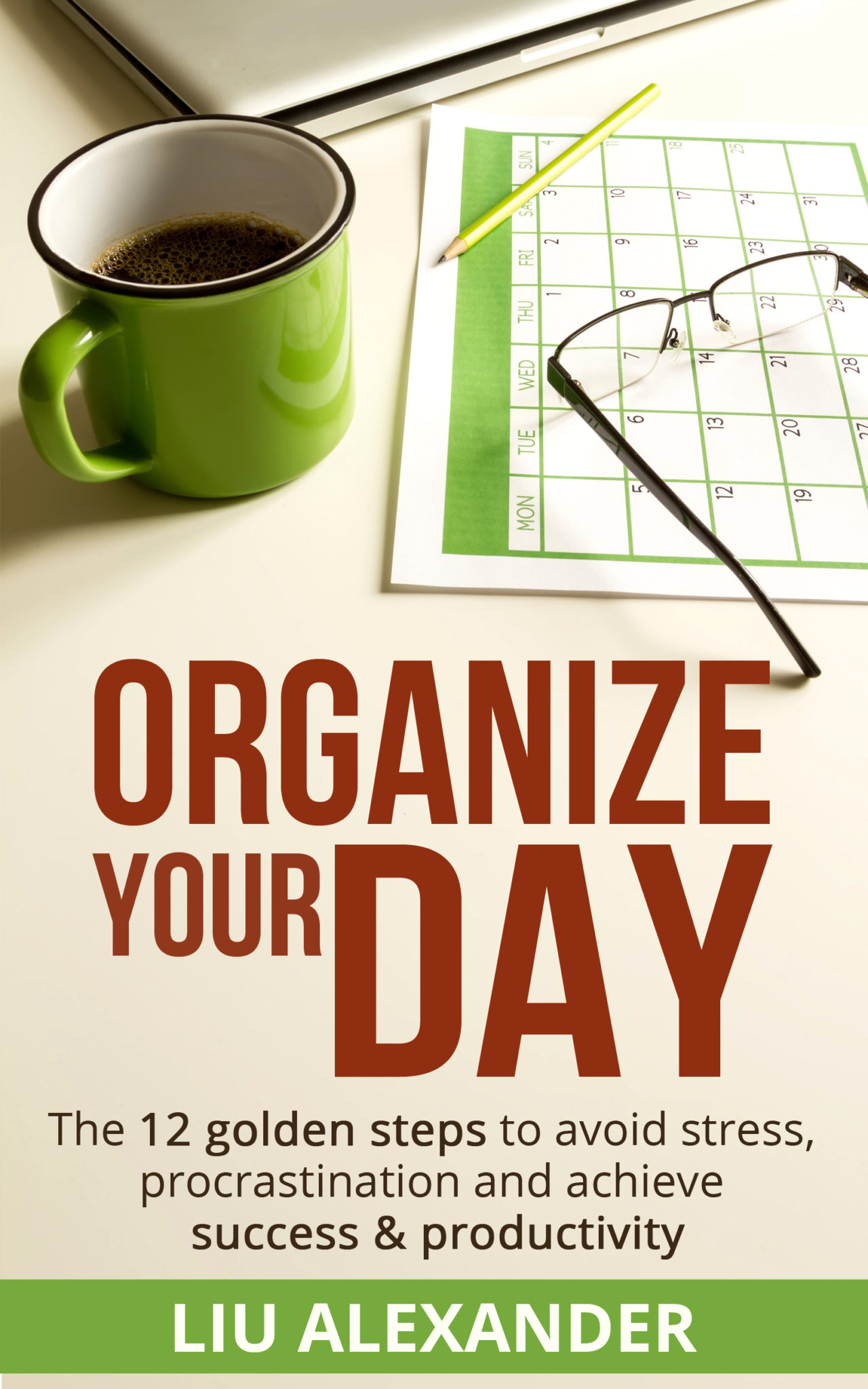 FREE: Organize Your Day: The 12 Golden Steps To Avoid Stress, Procrastination and Achieve Success And Productivity by Liu Alexander