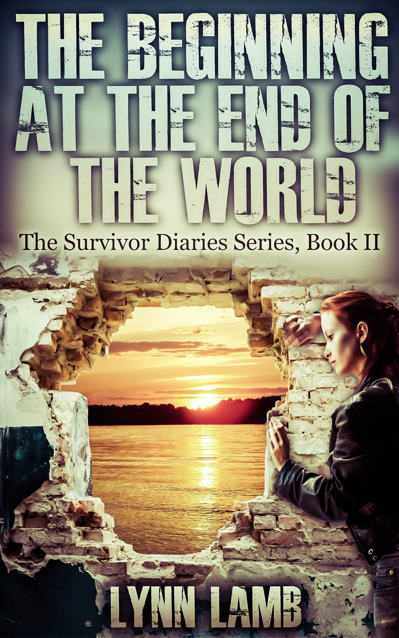 FREE: The Beginning at the End of the World, The Survivor Diaries- Book II by Lynn Lamb