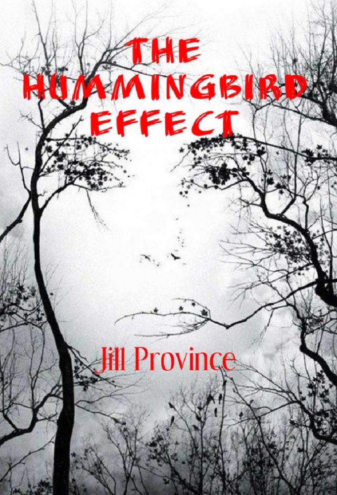 FREE: The Hummingbird Effect by Jill Province