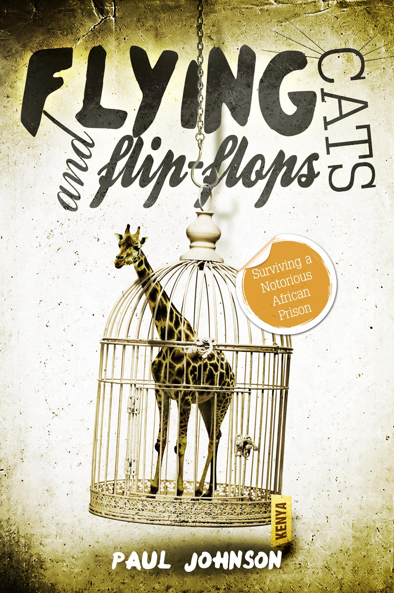 FREE: Flying Cats & Flip Flops. Surviving a Notorious African Prison by Paul Johnson