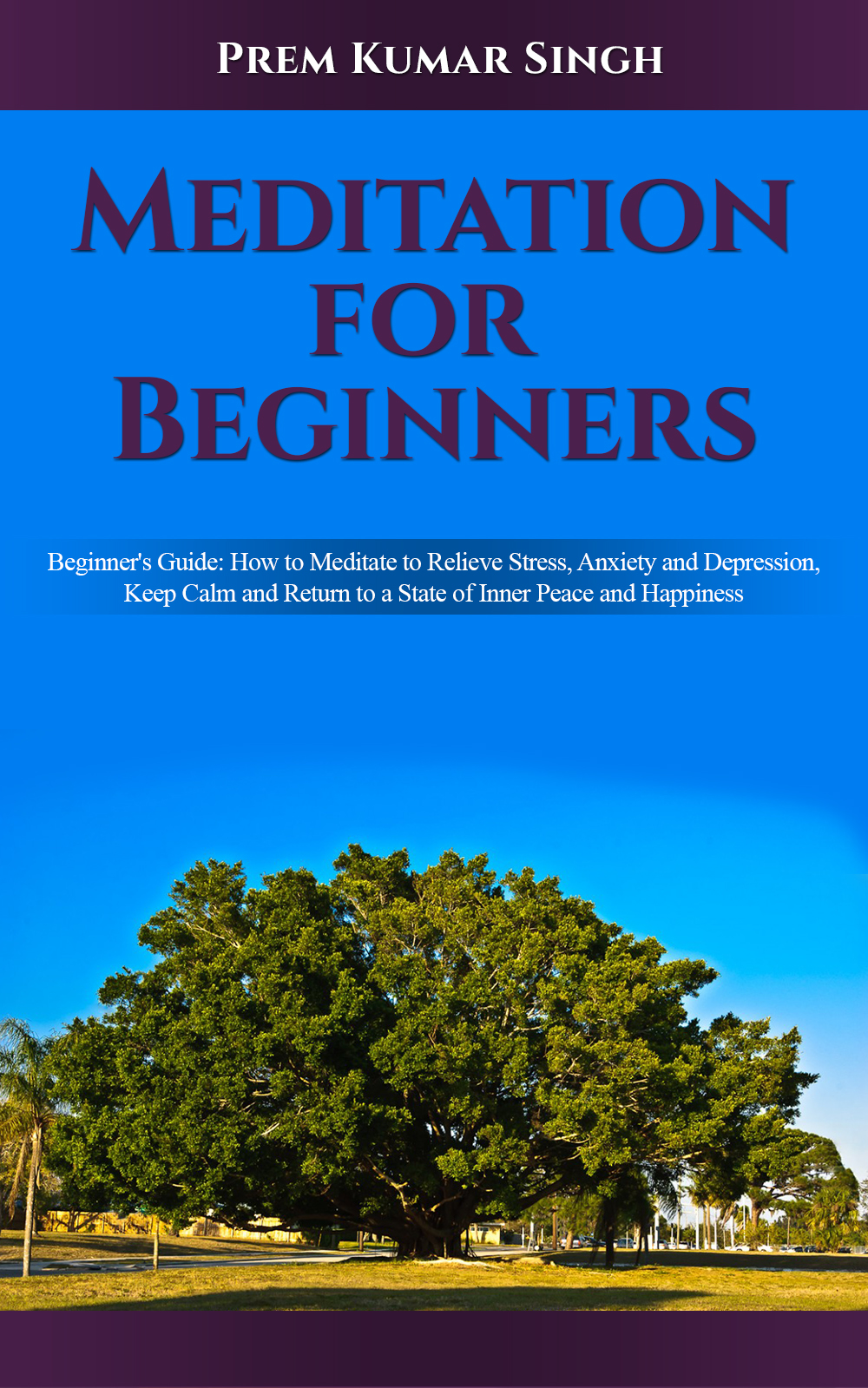 FREE: Meditation for Beginners: Beginner’s Guide: How to Meditate to Relieve Stress, Anxiety and Depression, Keep Calm and Return to a State of Inner Peace and Happiness by Prem Kumar Singh