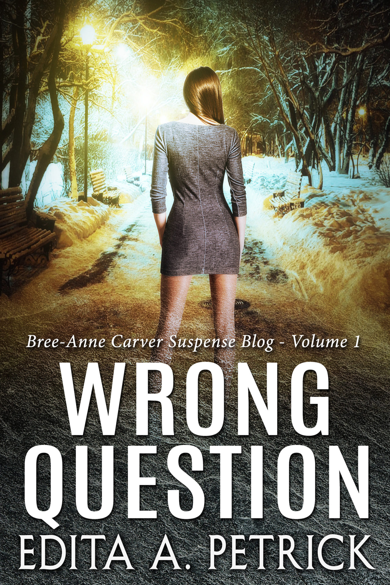 FREE: Wrong Question by Edita A. Petrick