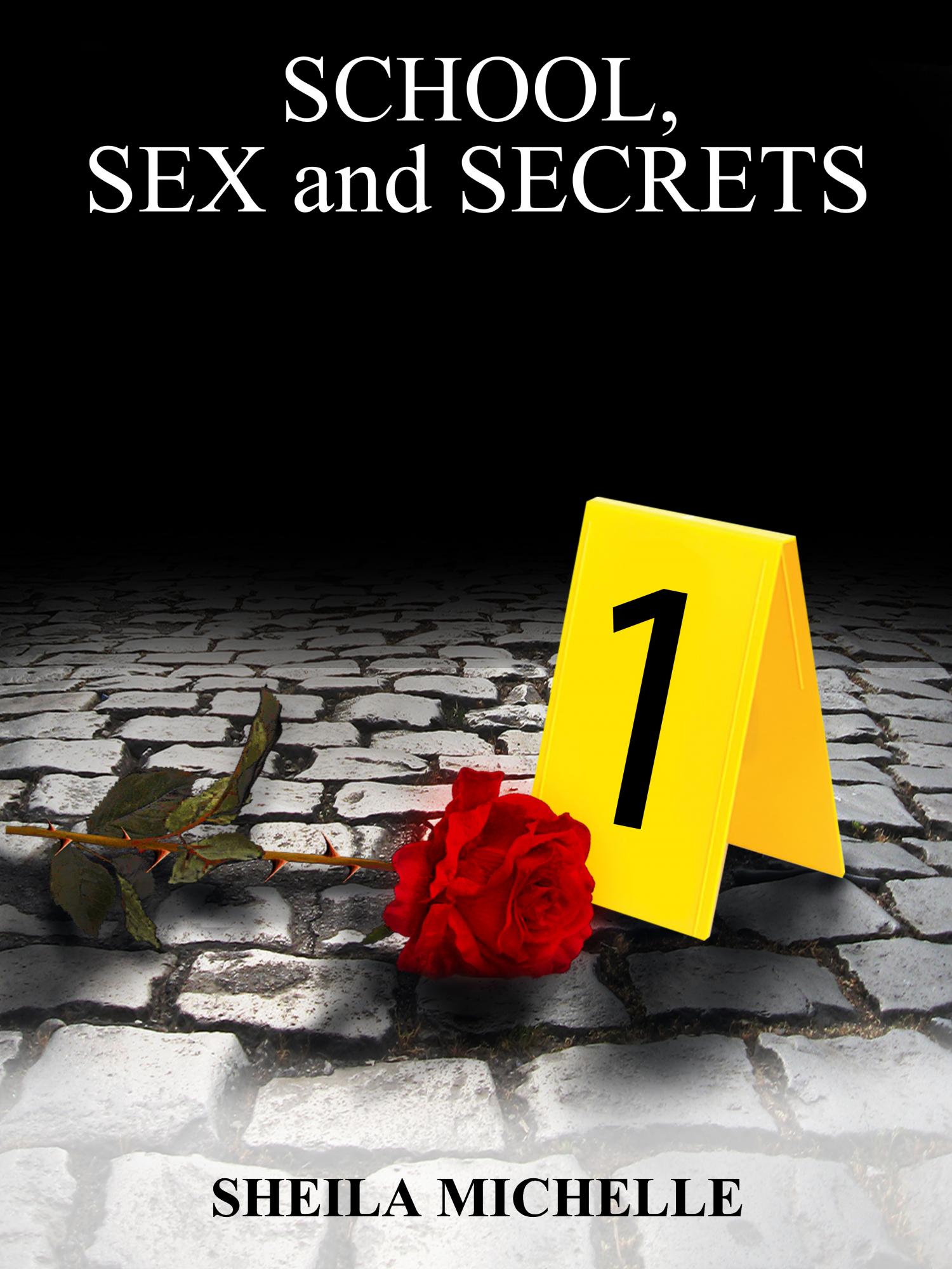School, Sex and Secrets by Sheila Michelle