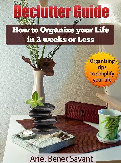 FREE: Declutter Guide: How to Organize Your Life in 2 Weeks or Less by Ariel Benet Savant