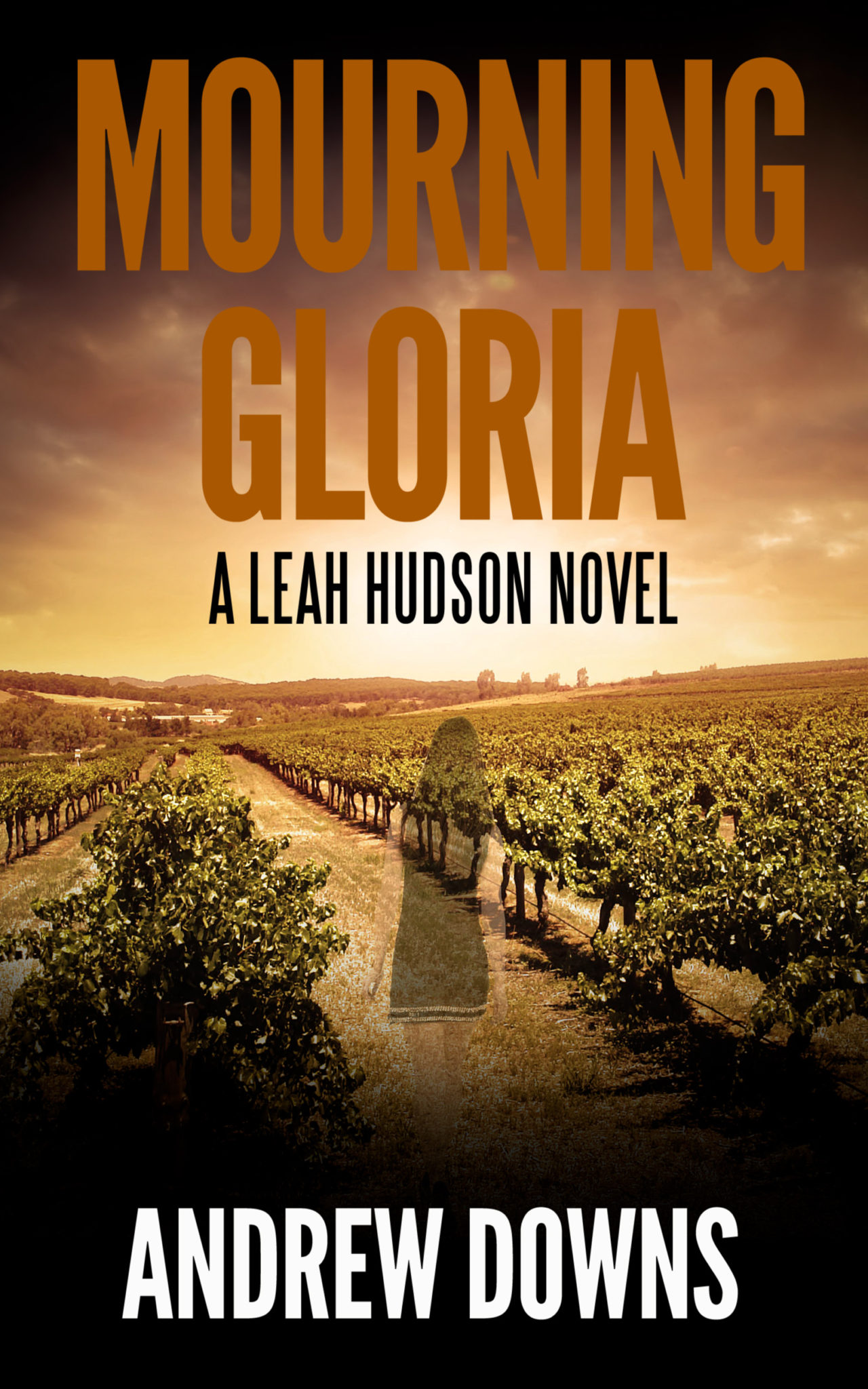FREE: Mourning Gloria: A Leah Hudson Thriller by Andrew Downs