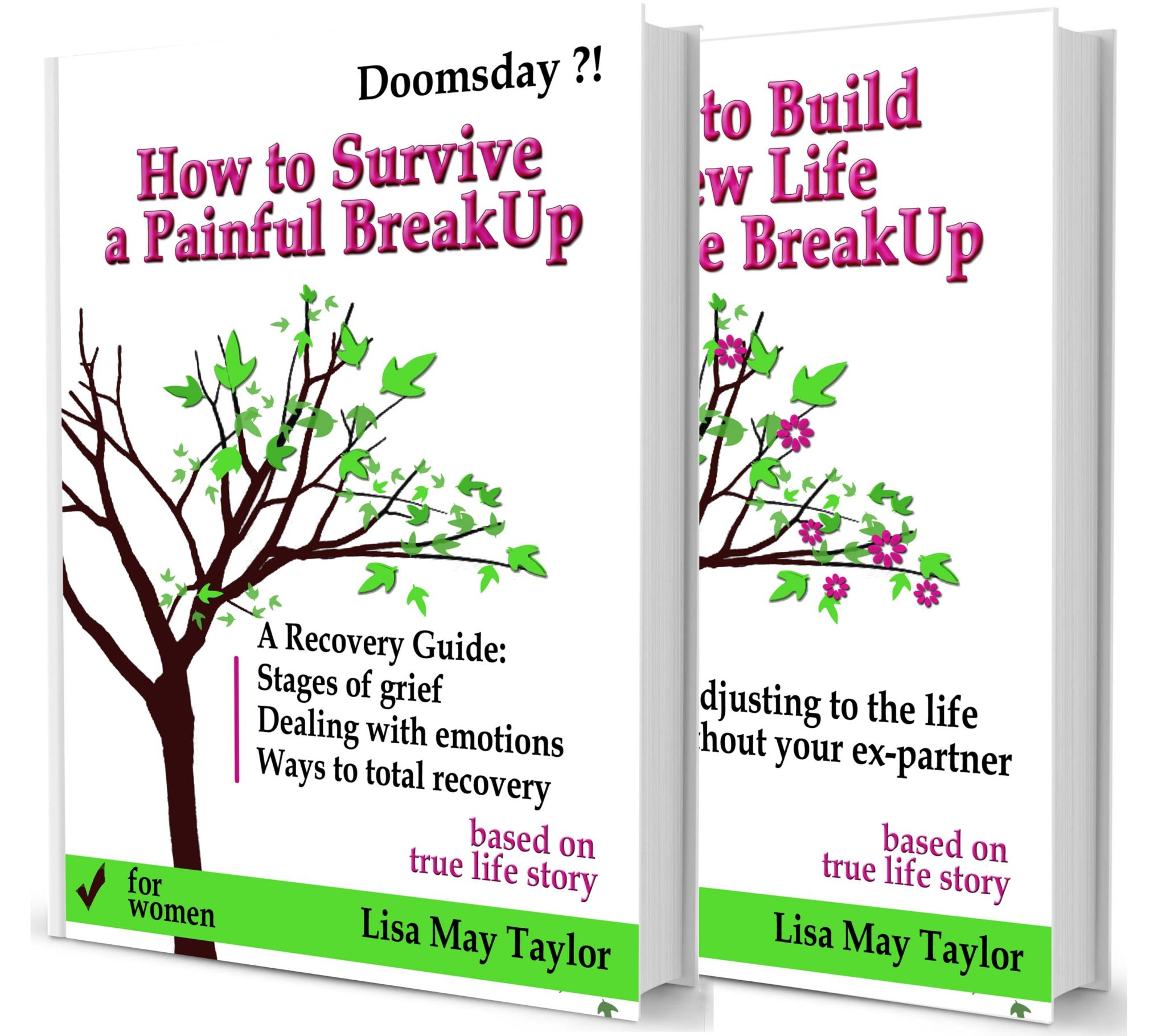 FREE: A Full Recovery Guide for Women 2 in 1 Box Set: How to Survive a Painful Breakup and How to Build a New Life after the Breakup by Lisa May Taylor