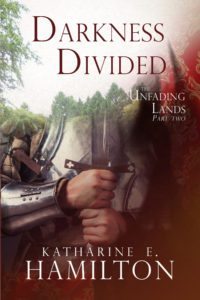 Darkness-divided-Cover