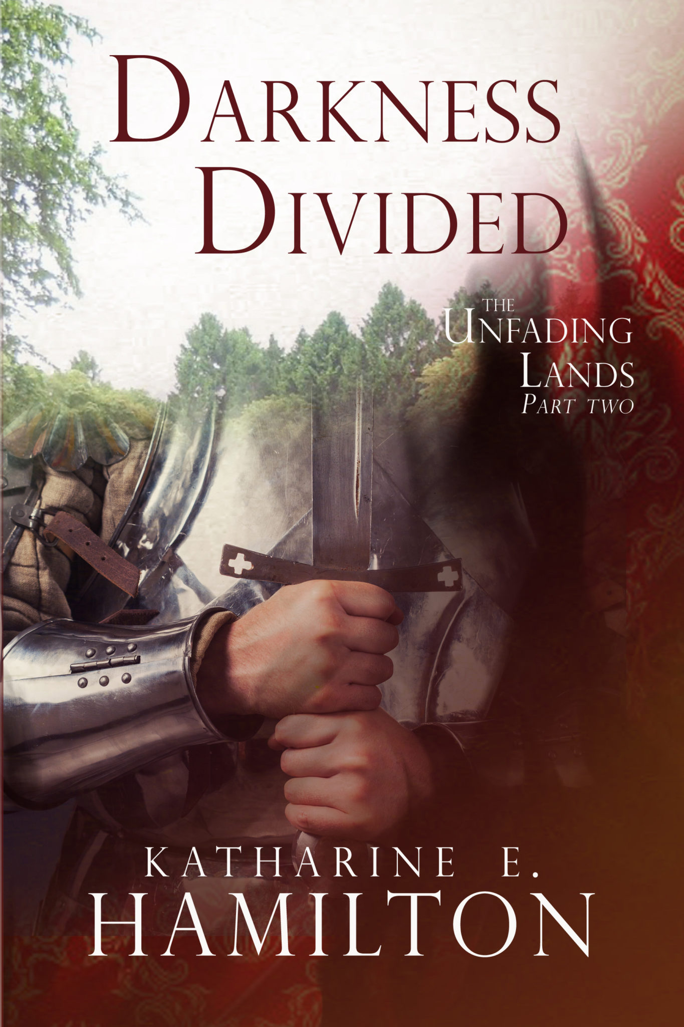 FREE: Darkness Divided by Katharine E. Hamilton
