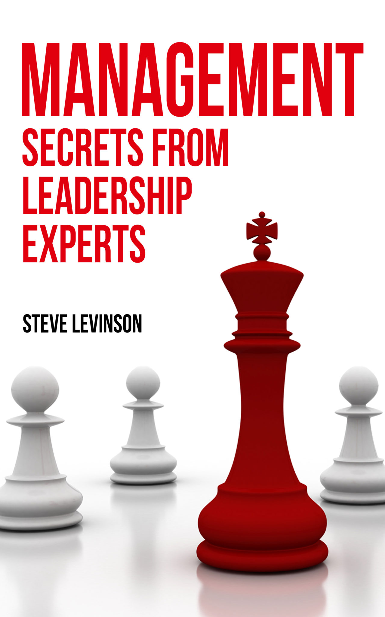 FREE: Management: The Experts Secrets on Communication & Motivation by Steve Levinson