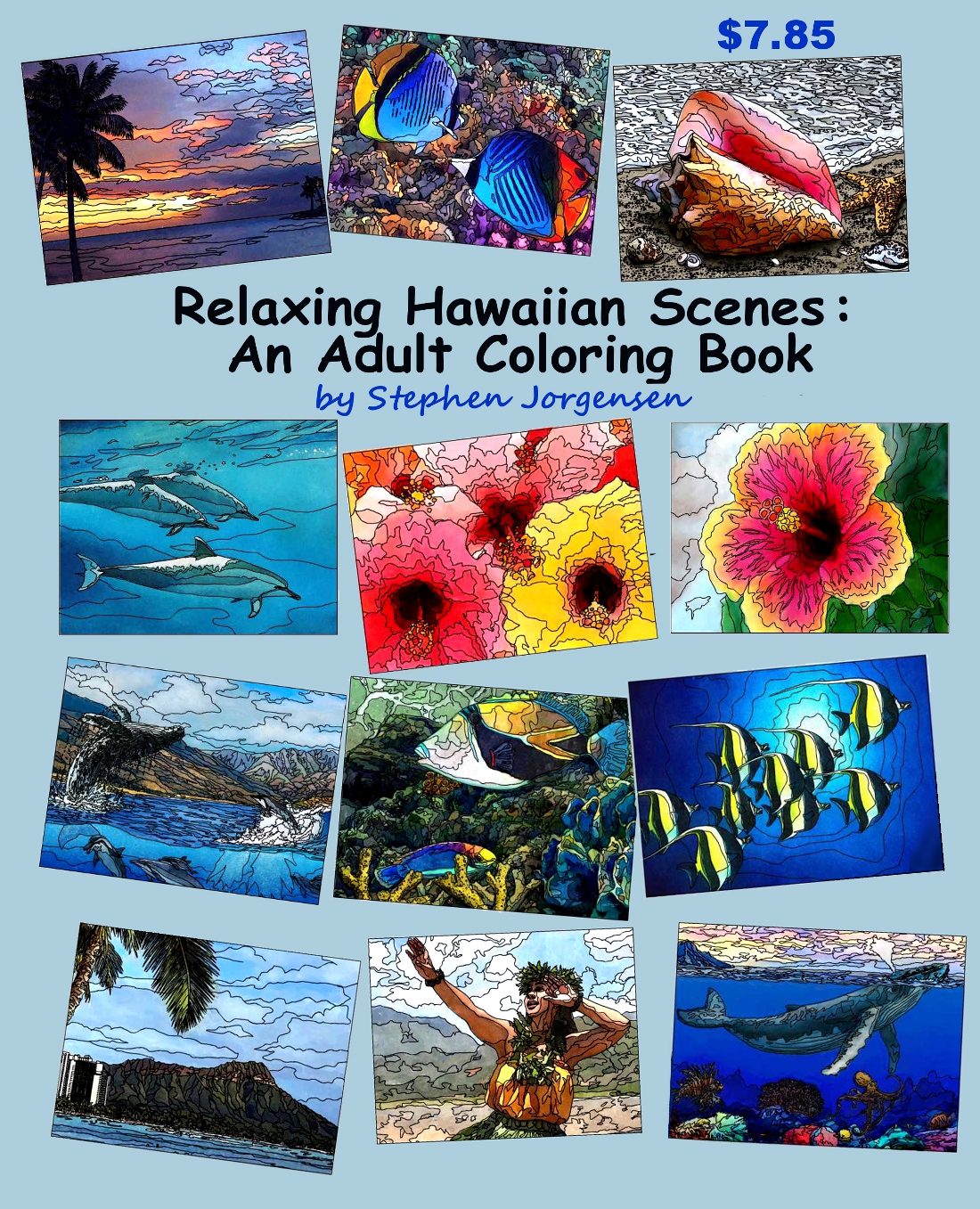 FREE: Relaxing Hawaiian Scenes: An Adult Coloring Book by Stephen Jorgensen