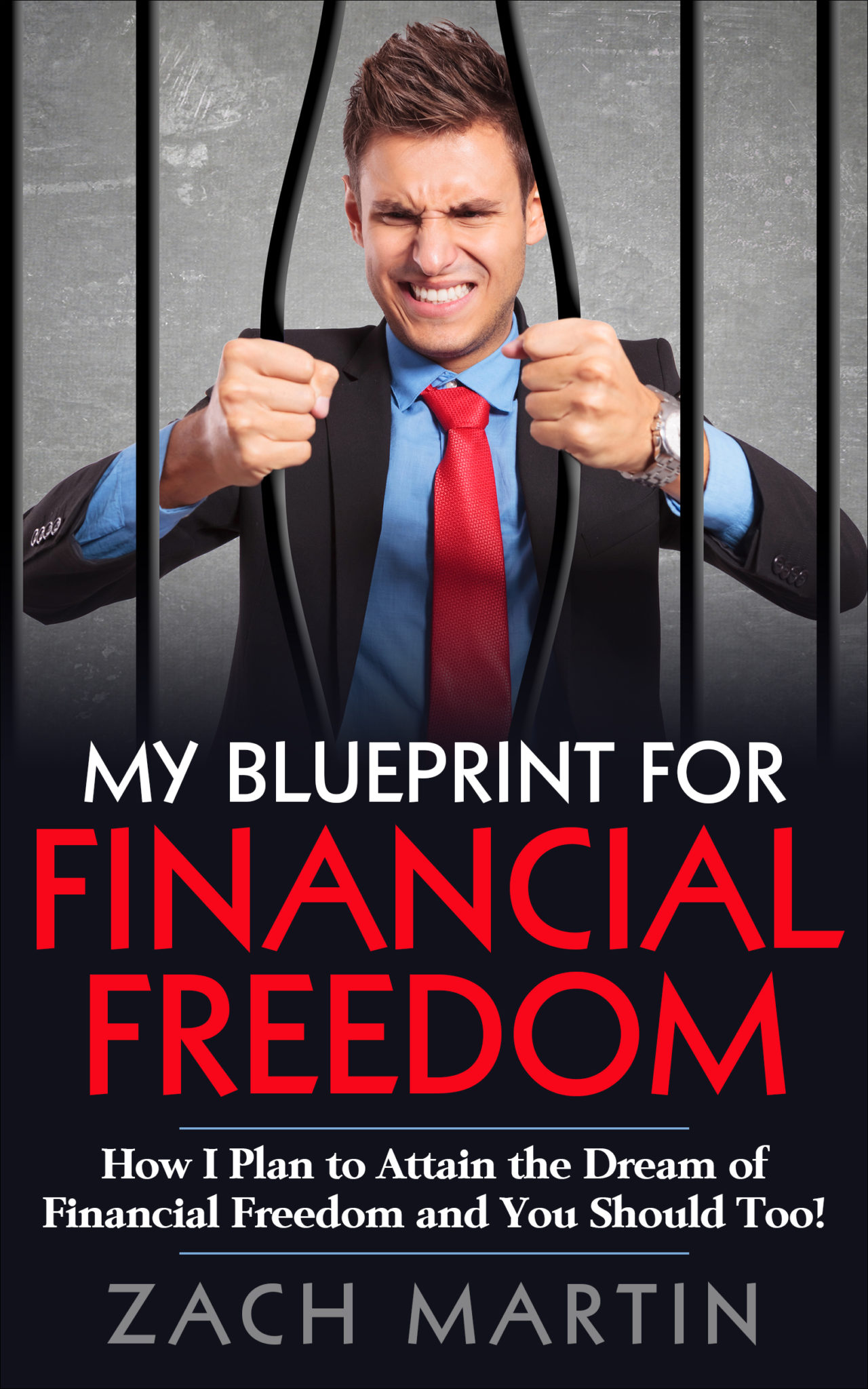 FREE: My Blueprint for Financial Freedom: How I Plan to Attain the Dream of Financial Freedom and You Should Too! by Zach Martin