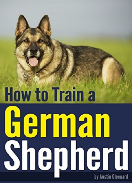 FREE: How to Train a German Shepherd by Austin Gleonard